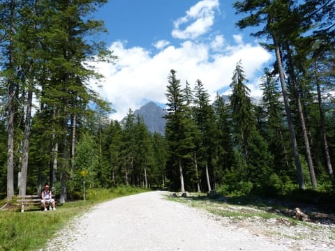 Local walk.