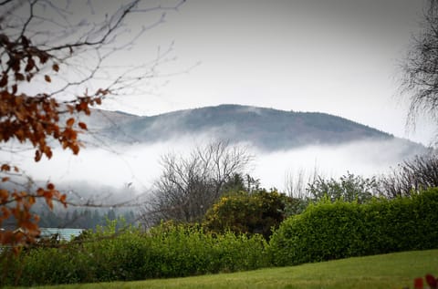 The Clare hills from the garden