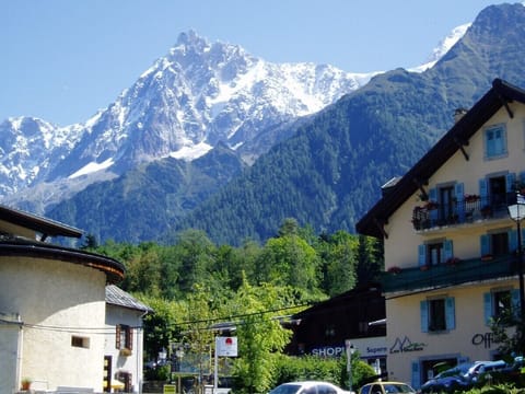 View from garden towards l'Aiguille du Midi