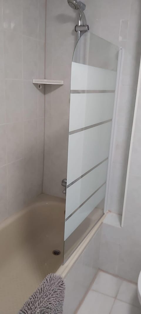 Combined shower/tub, hair dryer, bidet, towels