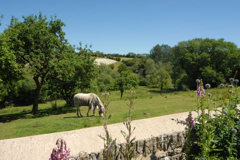 Over the garden wall.
