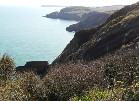 View from costal path above Freshwater East