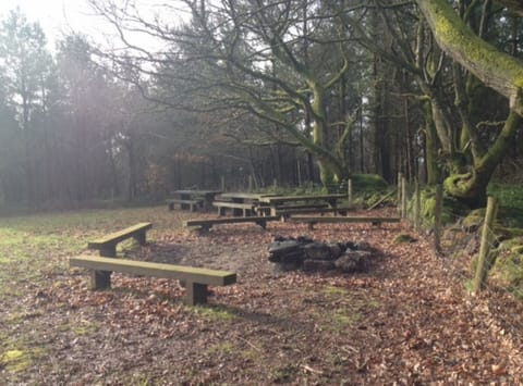 Picnic Table and Camp Fire