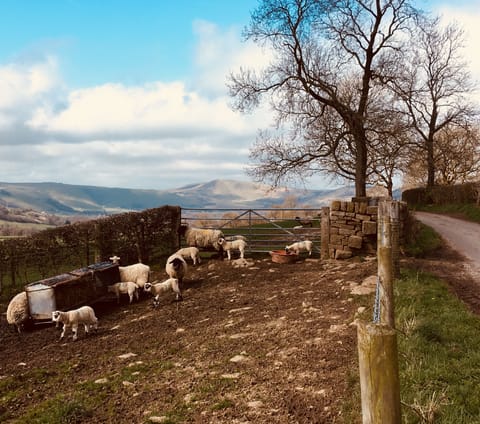 Spring time in the valley