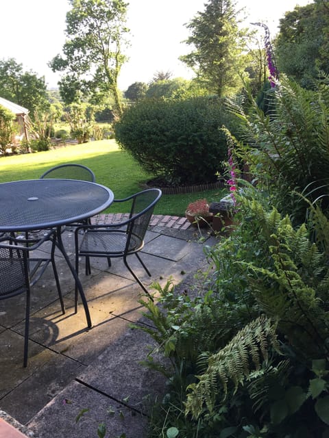 Patio and BBQ for relaxing evenings or Al Fresco breakfast and lunch.