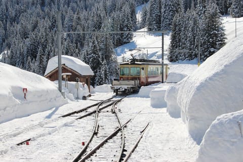 Snow and ski sports