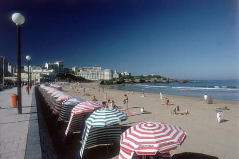 Beach nearby, sun loungers