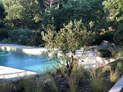 A heated pool, sun loungers