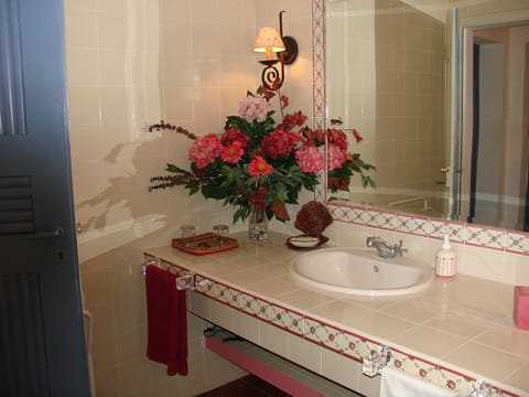 Combined shower/tub, hair dryer, bidet, towels