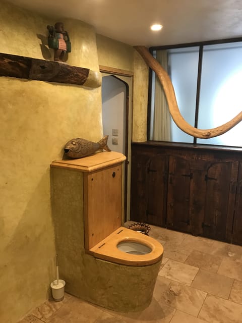 The 'throne' in the large quirky wetroom