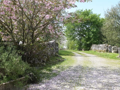 Track To The Paddock