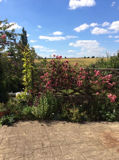 The view you will see from the living room