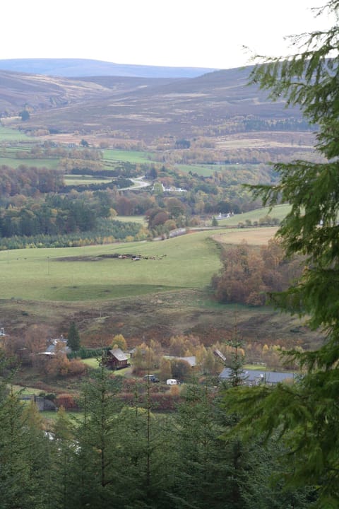 Looking down onto Cragganmore from Dalnapot Hill