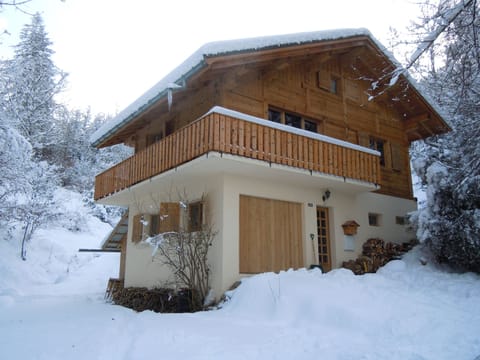 Chalet Fiz (front winter)