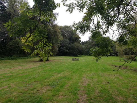 Socially distanced dining