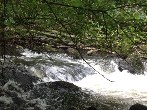 The cascades near the local village, 10 minutes from us.