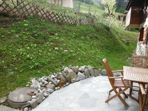 Garden with spring flowers.
Jardin avec des fleurs de printemps.
Jardín con flores de primavera.
