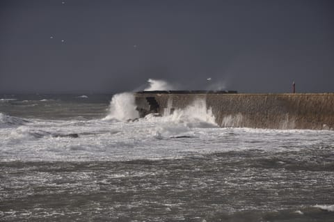 Anstruther harbour in winter. Great light for photos