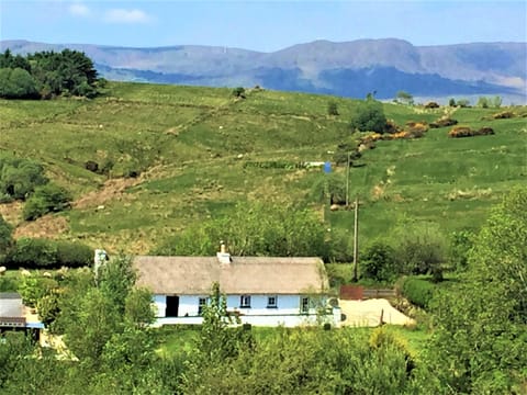 Bridge Cottage setting