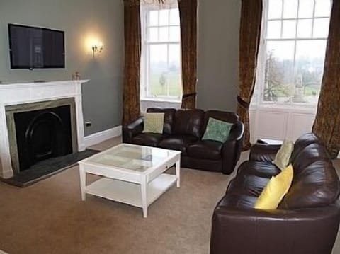 TV, fireplace, DVD player, table tennis