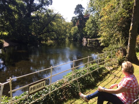 View from the shared garden by the river 