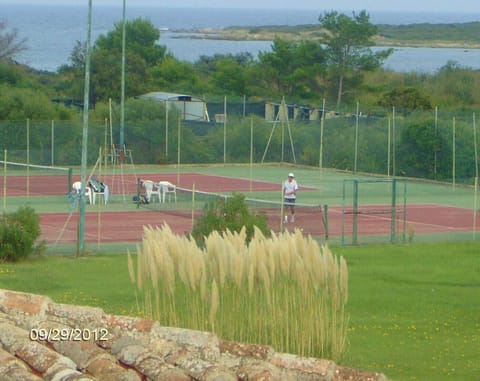 Sport court