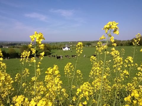 La Bellaziere is the white dot in back!
