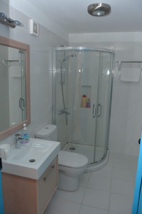 Combined shower/tub, hair dryer, towels, soap