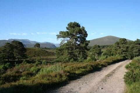Track from Nethybridge to Glenmore