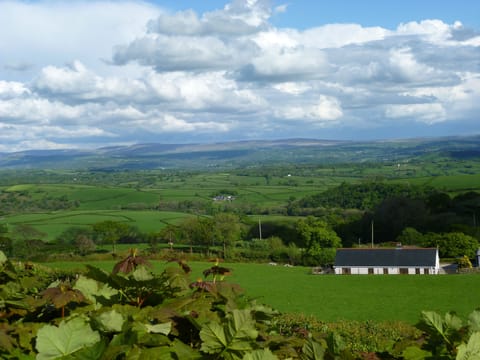 View from the top of the hill behind the cottage