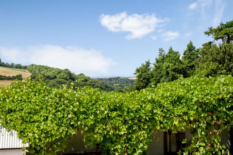 one of the views from the kitchen