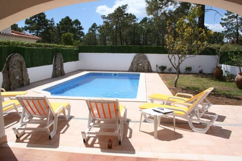 The rear garden and pool