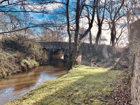 the lovely bridge of scar with our dog enjoying a little sniff behind the stable