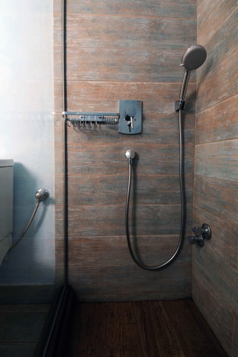 Shower, jetted tub, hair dryer, towels