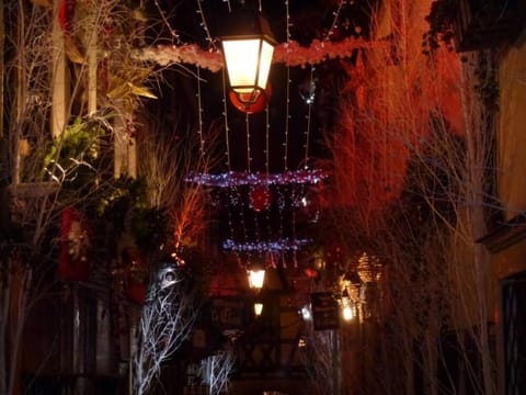 Tourist photo: street at Christmas time, Strasbourg
