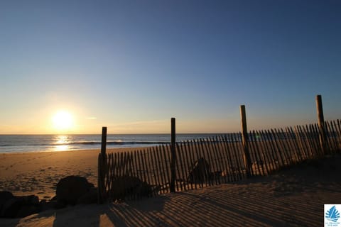 On the beach