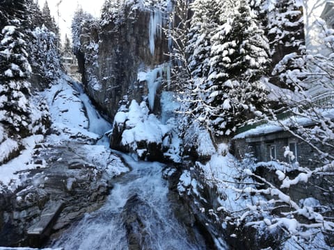 Snow and ski sports