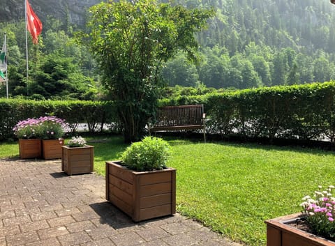 Rear garden view (private space)