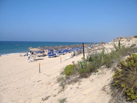 Beach nearby, sun loungers