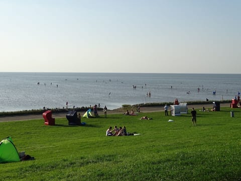 Beach nearby, sun loungers