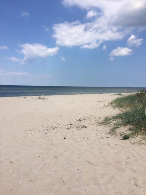 Beach nearby, sun loungers