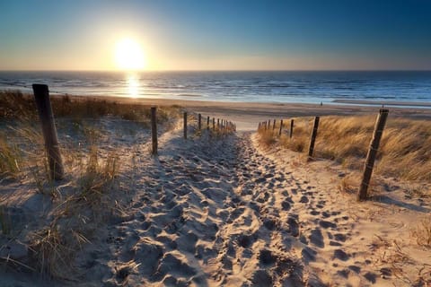 Beach nearby, sun loungers