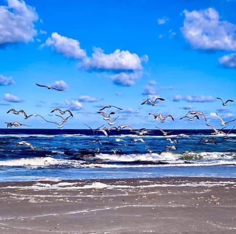 Beach nearby