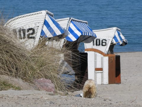 Sun loungers, beach towels