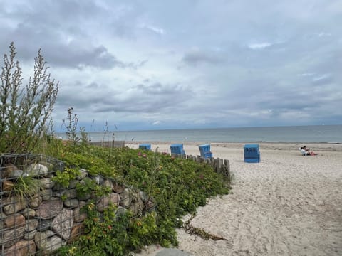 Beach nearby, sun loungers