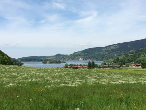 12 min walk to lake Schliersee