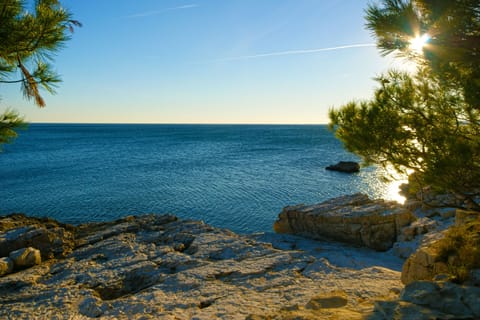 Beach nearby, sun loungers