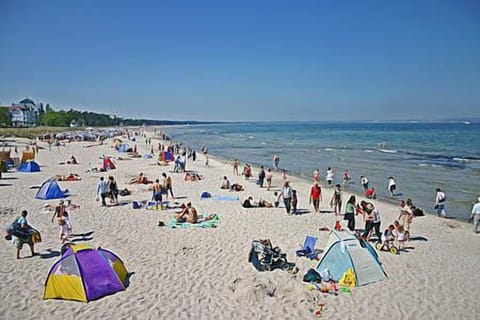 On the beach, sun loungers