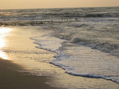 Beach nearby