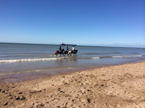 Beach nearby